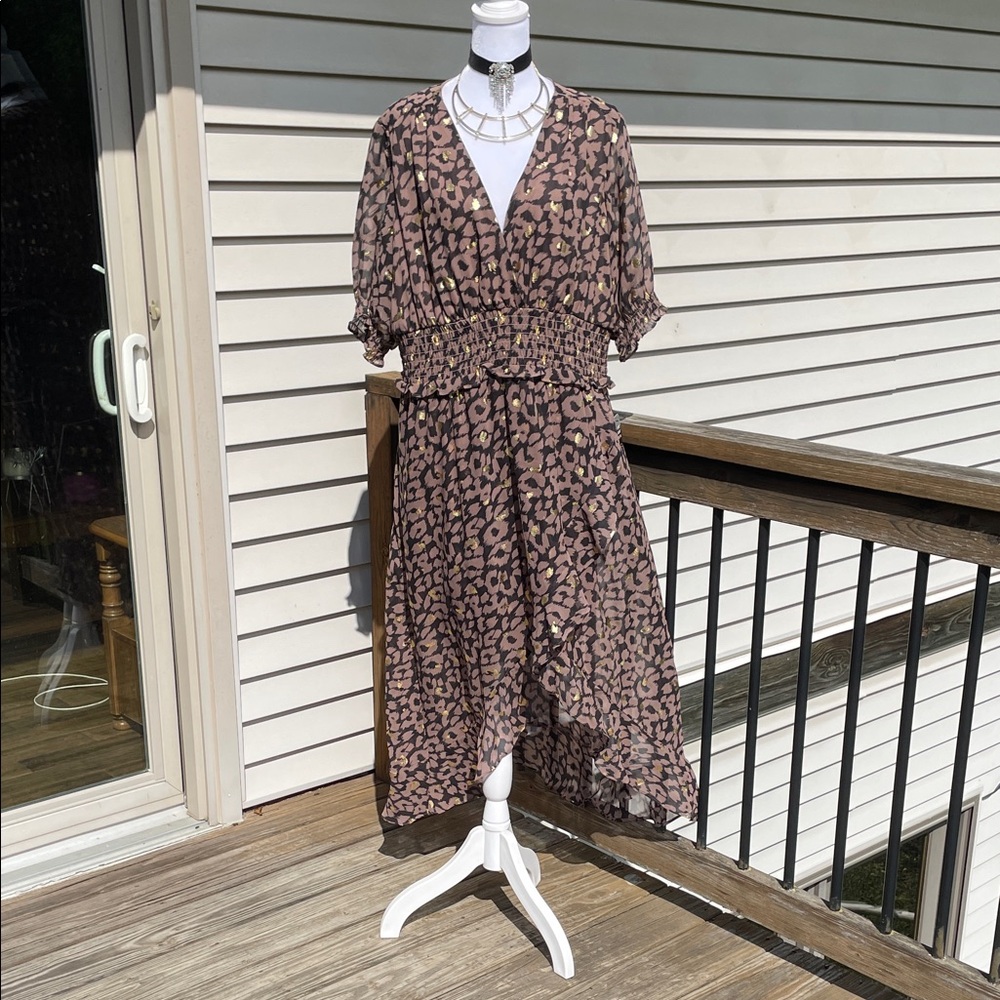 Express Leopard Print Maxi Dress